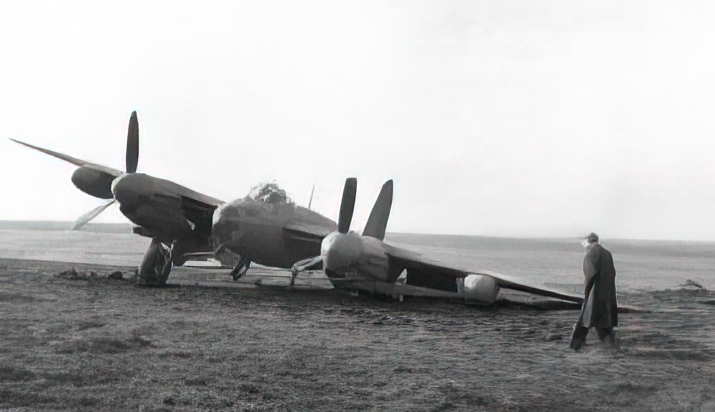 Crashed Mosquito