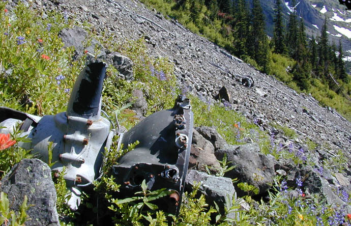 Photos Olympic Peninsula crash site