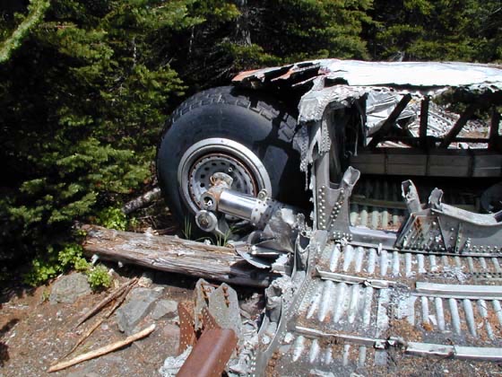 Photos Olympic Peninsula crash site